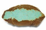 Polished Turquoise Slab - Number Mine, Carlin, NV #248333-1